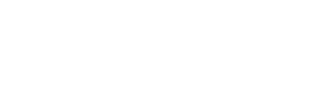 impulspiloten